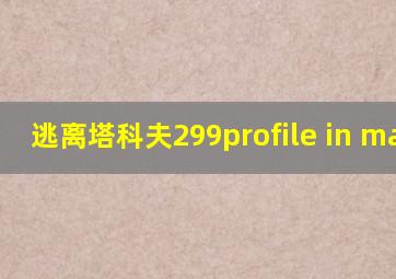 逃离塔科夫299profile in match